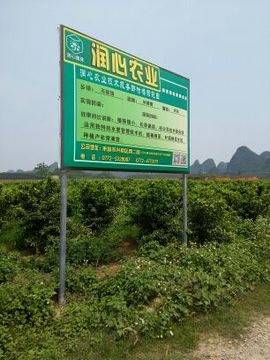 168888大叔主播照片