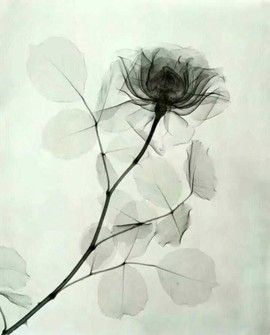 MC梦坷主播照片