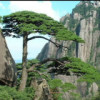 星繁月不明