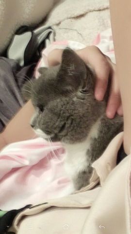 小雪梨停播主播照片