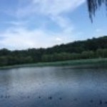 今日2海报