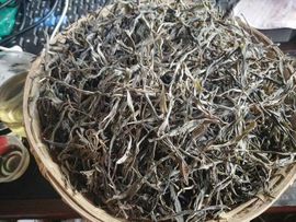 古树茶雅兰批发主播照片
