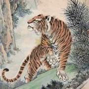 满山香海报