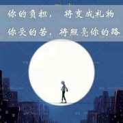 珍惜z$p