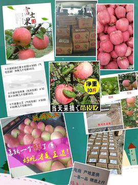 一秒钟の记忆主播照片