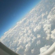 梦里看花（空）