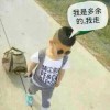 淘宝卖花迷你绿植