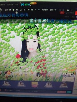 ☆妍儿_《好傻》主播照片