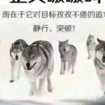 如鱼得水916
