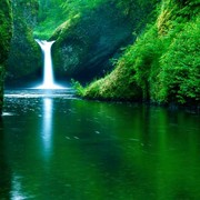 青山绿水ens