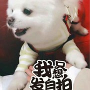 續写一紙的空白