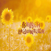 辉，，少♡小泡泡1海报