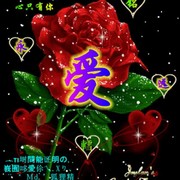 水里的小小鱼🐠海报