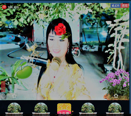 梨花不再期待主播照片