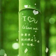 踏馬尋花問楊柳海报