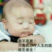 彬51v