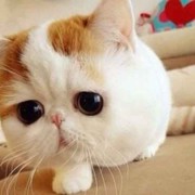 小梅hy