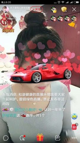 海鸽晚上见主播照片