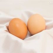 蛋蛋来听歌