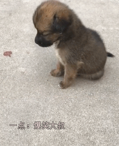 0的境界主播照片