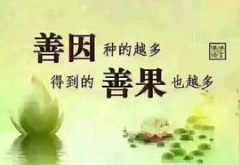 ღ哈喽～主播照片