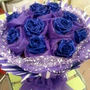 雨露芳菲g的主播照片