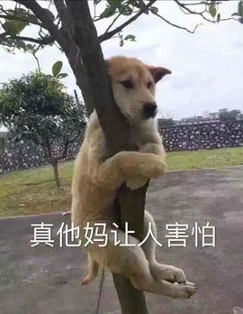 54649878主播照片