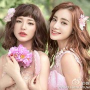 北方的狼*bk
