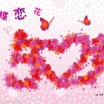 🐠中尋找真愛