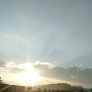 浩哥168海报