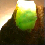 小兵（微信）主播照片