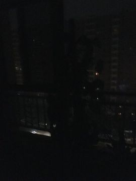 张大美_主播照片