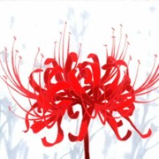 好吧le
