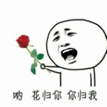 木@林森