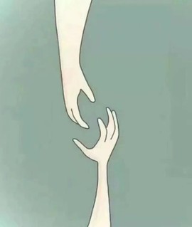 雷诺/主播照片
