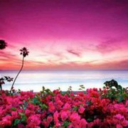 夏宝宏海报