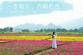 诗妍💞佛系主播照片