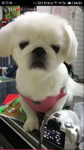 ✨媳婦⭐求🌙帶走✨主播照片