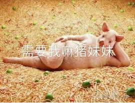 ♬默默✨小蛮宝☞🌜主播照片