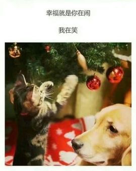 ❁小丸子主播照片