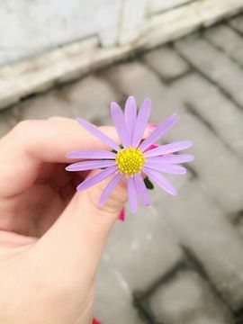 青四年主播照片