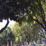 我还是你的优乐美