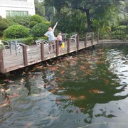 胡子哥重振雄风