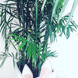 小白菜🍃主播照片