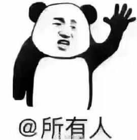 带着宝豆去流浪主播照片