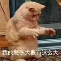 🌺爱我吗，咋们走主播照片