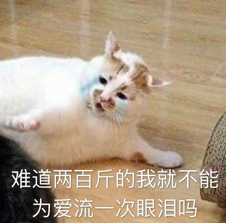 呆呆要过任务的主播照片