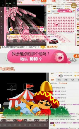 傲雪没人疼！主播照片