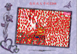 开心❤️❤️果主播照片