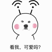 哎呀鸥